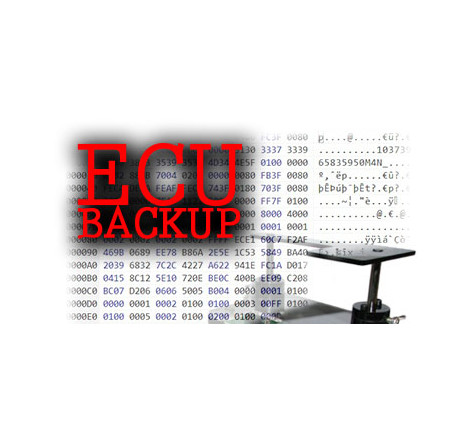 BACK UP 5WS40171C-T_9655939780